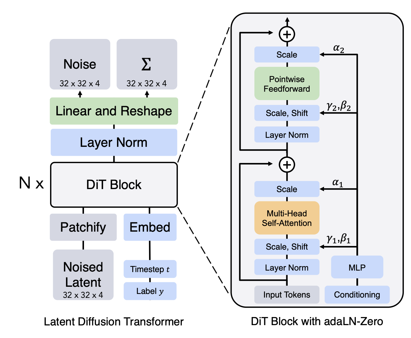 Diffusion Transformer 架构图
