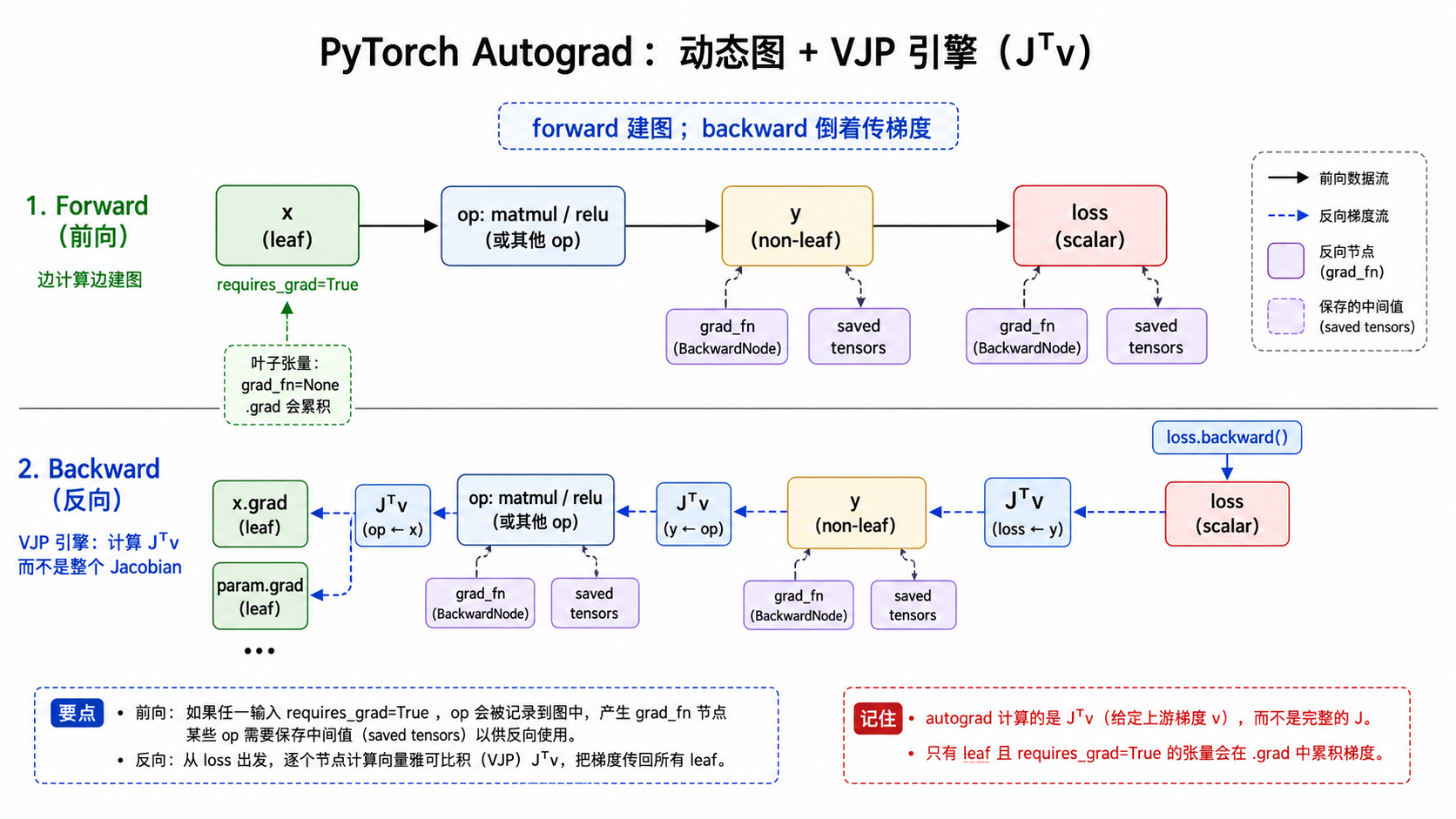 PyTorch autograd 动态图和 VJP 引擎示意图